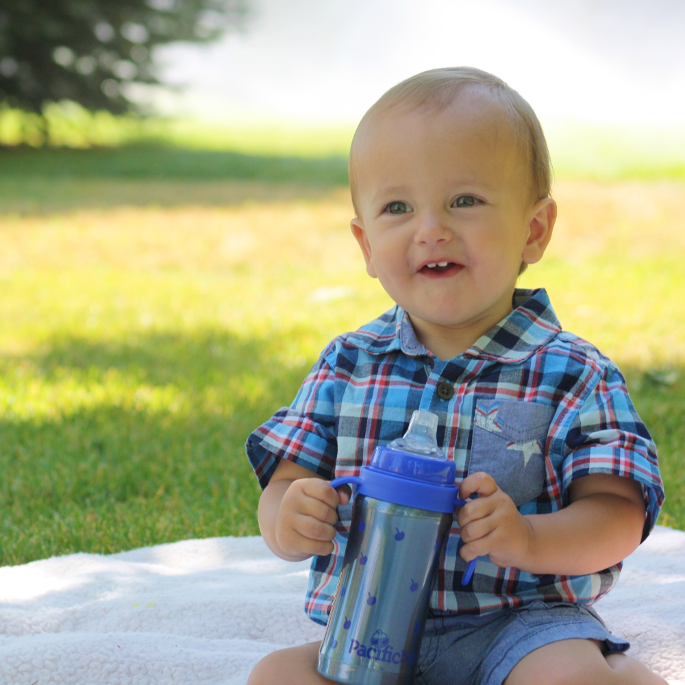 Pacific Baby Hot-Tot Stainless Steel Insulated Infant Baby 7 oz Eco Feeding Bottle Blueberries